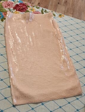 Express Blush Sequin Pencil Skirt